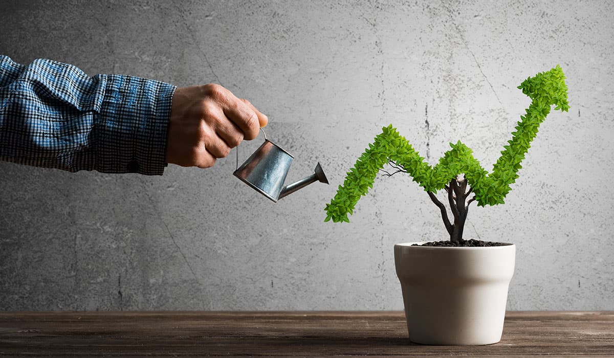 Pitrix team growth journey